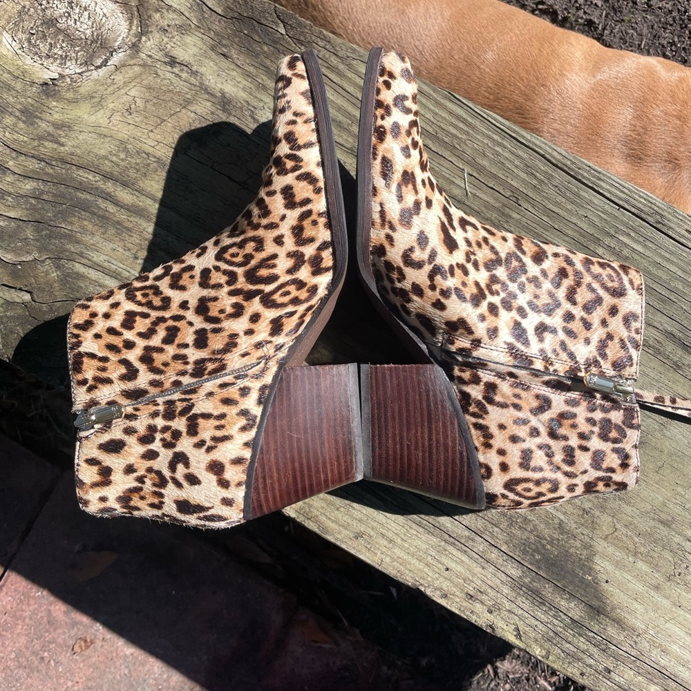 Sam Edelman ankle booties